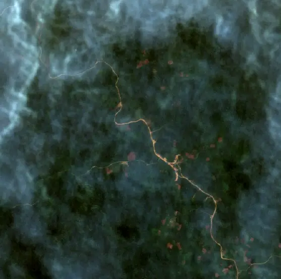 Before — Murung Raya (Sentinel-2, 2026-08-29)
