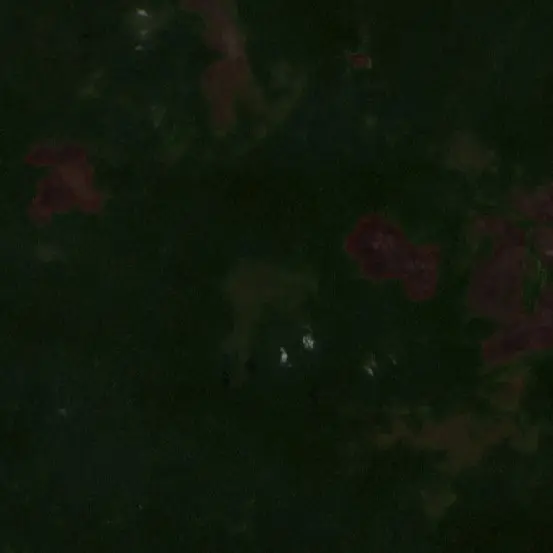 Before — Mappi (Sentinel-2, 2026-09-11)