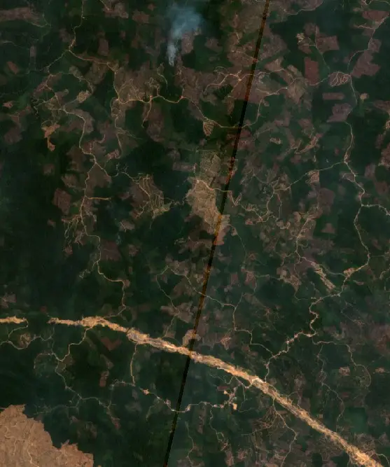 Before — Kutai Timur (Sentinel-2, 2026-08-29)