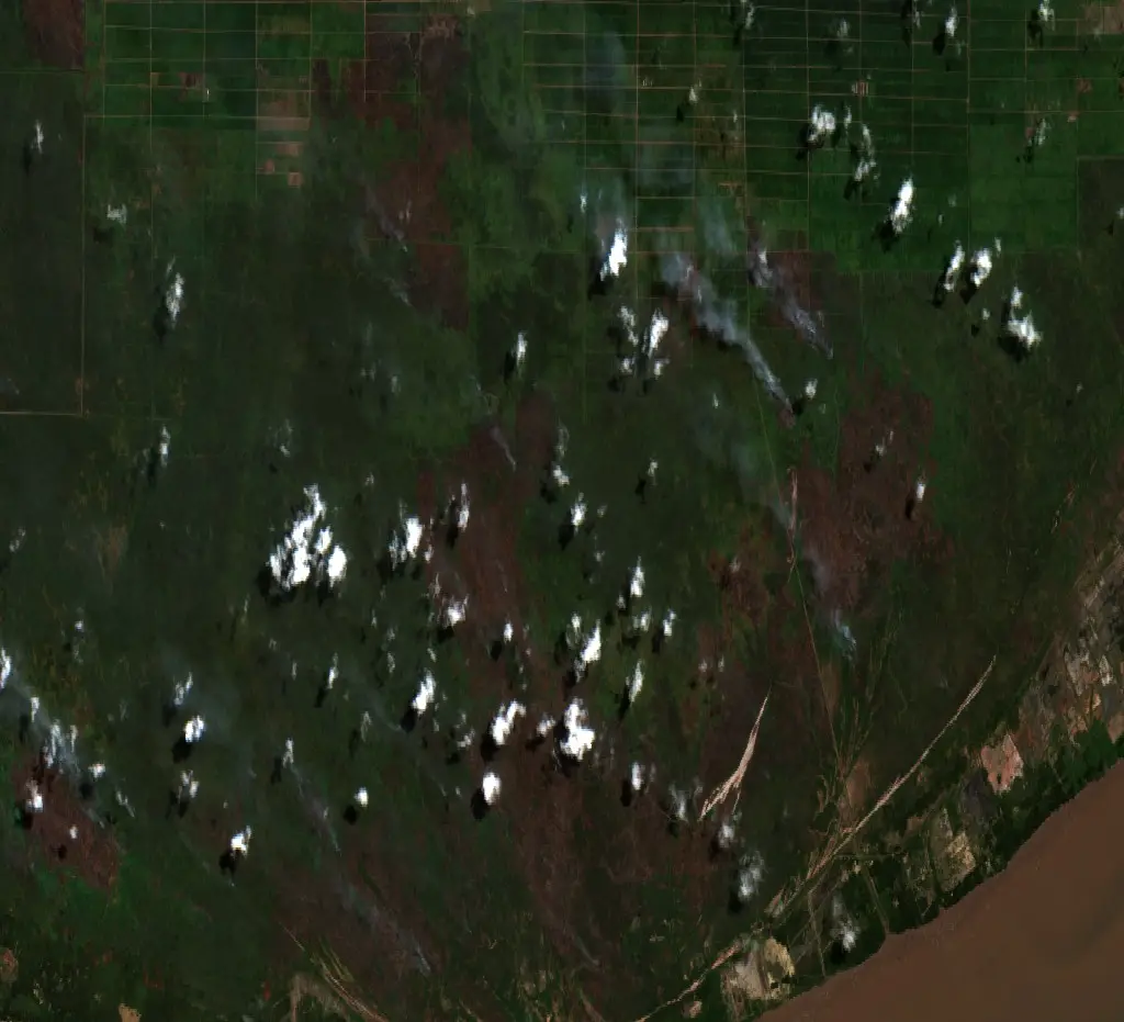 Before — Pulang Pisau (Sentinel-2, 2026-08-29)