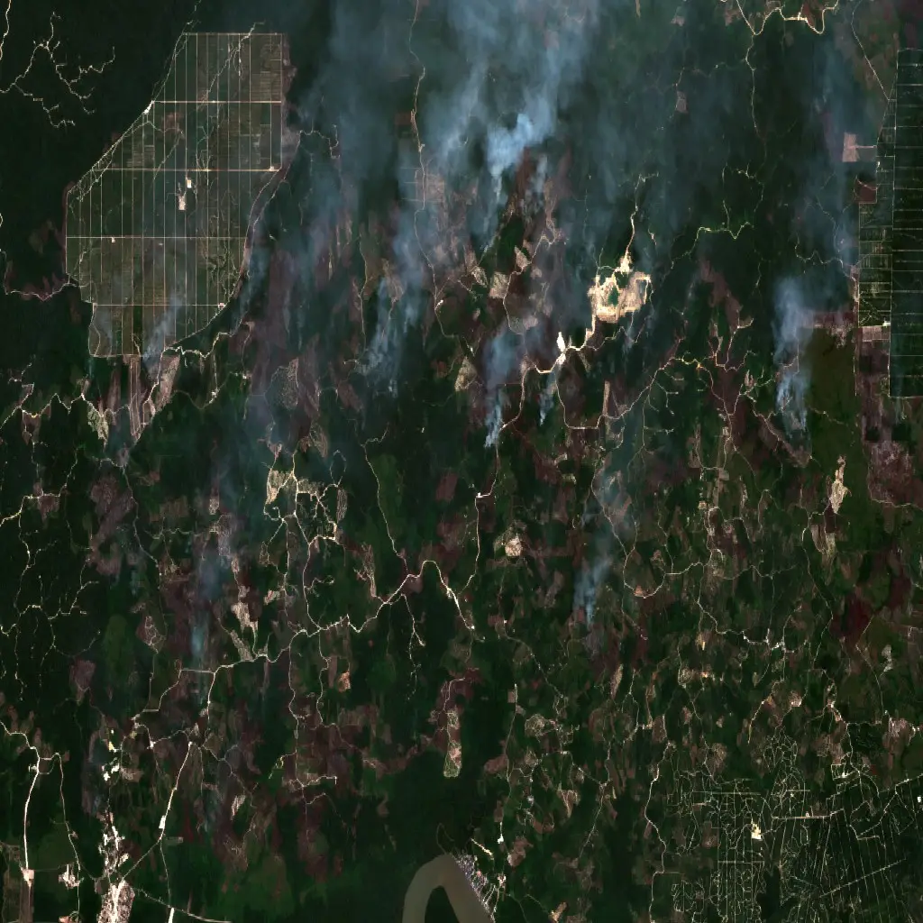 Before — Berau (Sentinel-2, 2026-08-29)