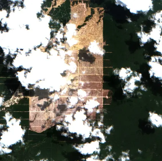 Before — Sorong Selatan (Sentinel-2, 2026-08-18)