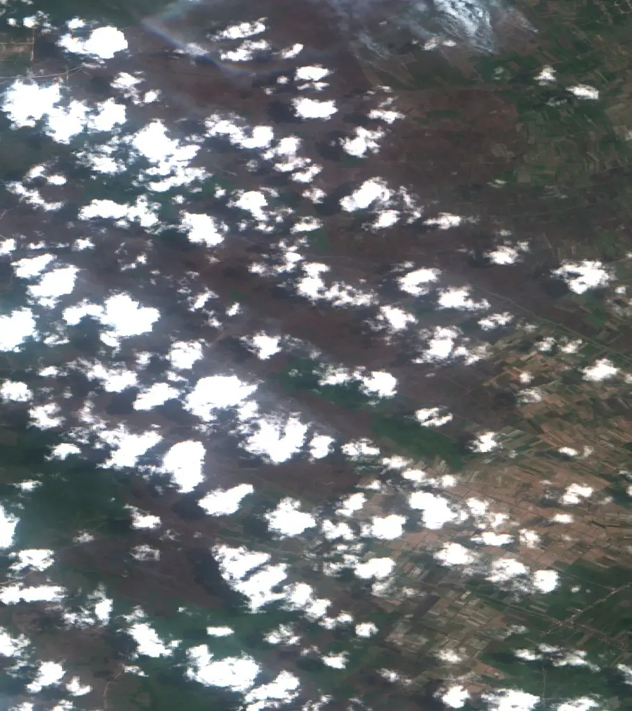 After —  (Sentinel-2, 2026-09-11)