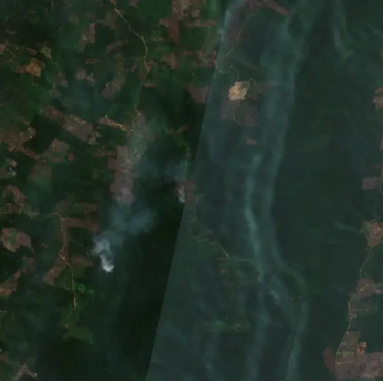 Before — Kutai Timur (Sentinel-2, 2026-08-29)