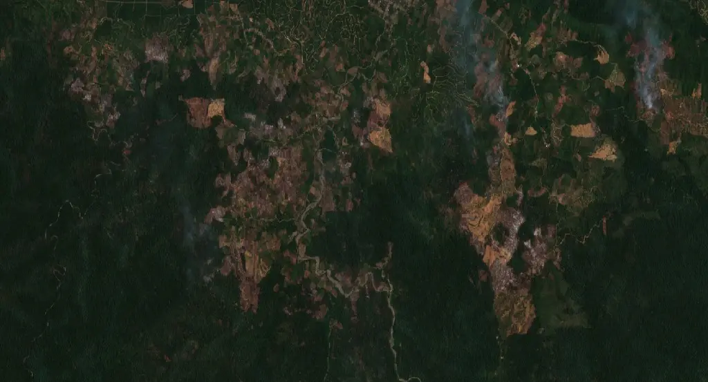 After — Buol (Sentinel-2, 2026-09-15)