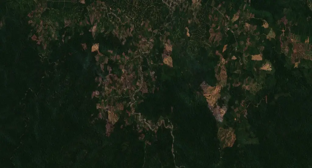 Before — Buol (Sentinel-2, 2026-08-26)
