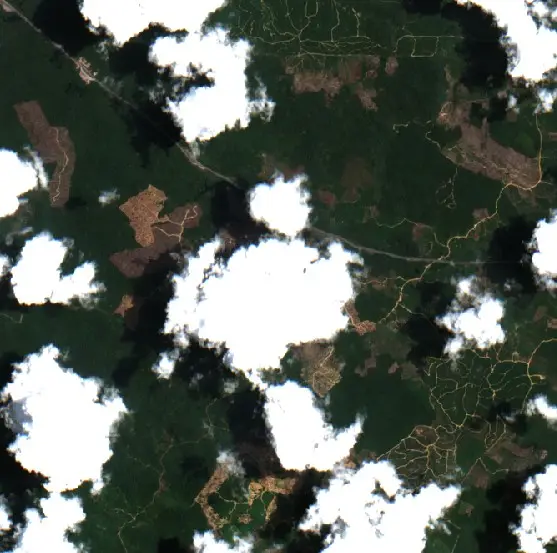 After — Kutai Timur (Sentinel-2, 2026-09-13)