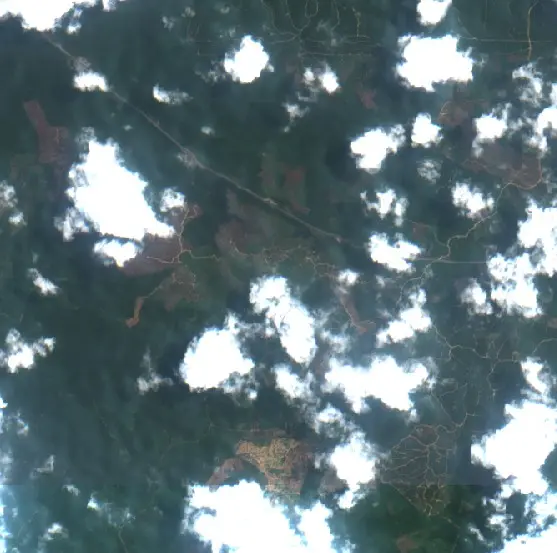 Before — Kutai Timur (Sentinel-2, 2026-08-29)
