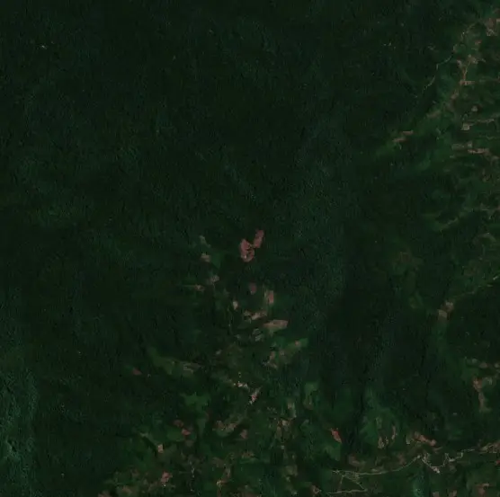 After — Sigi (Sentinel-2, 2026-09-15)