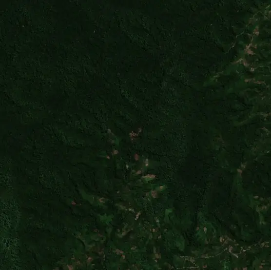 Before — Sigi (Sentinel-2, 2026-08-11)