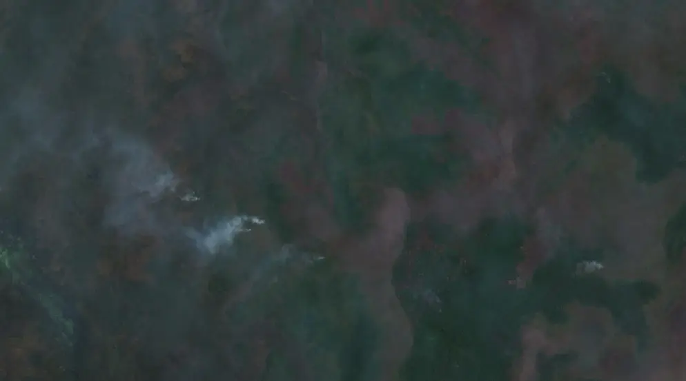 After — Merauke (Sentinel-2, 2026-10-11)