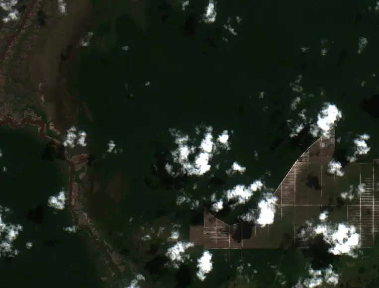 Before — Katingan (Sentinel-2, 2026-07-31)