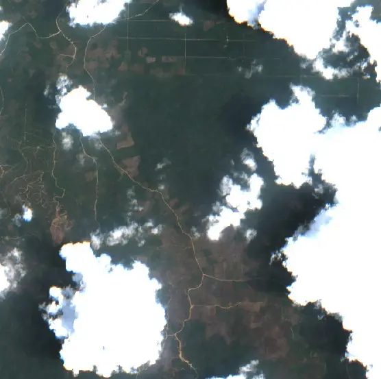 After — Berau (Sentinel-2, 2026-10-03)
