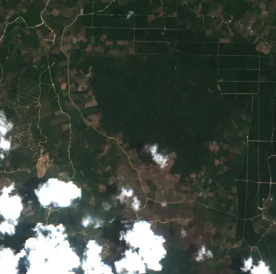 Before — Berau (Sentinel-2, 2026-09-25)