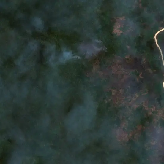 After — Merauke (Sentinel-2, 2026-10-11)