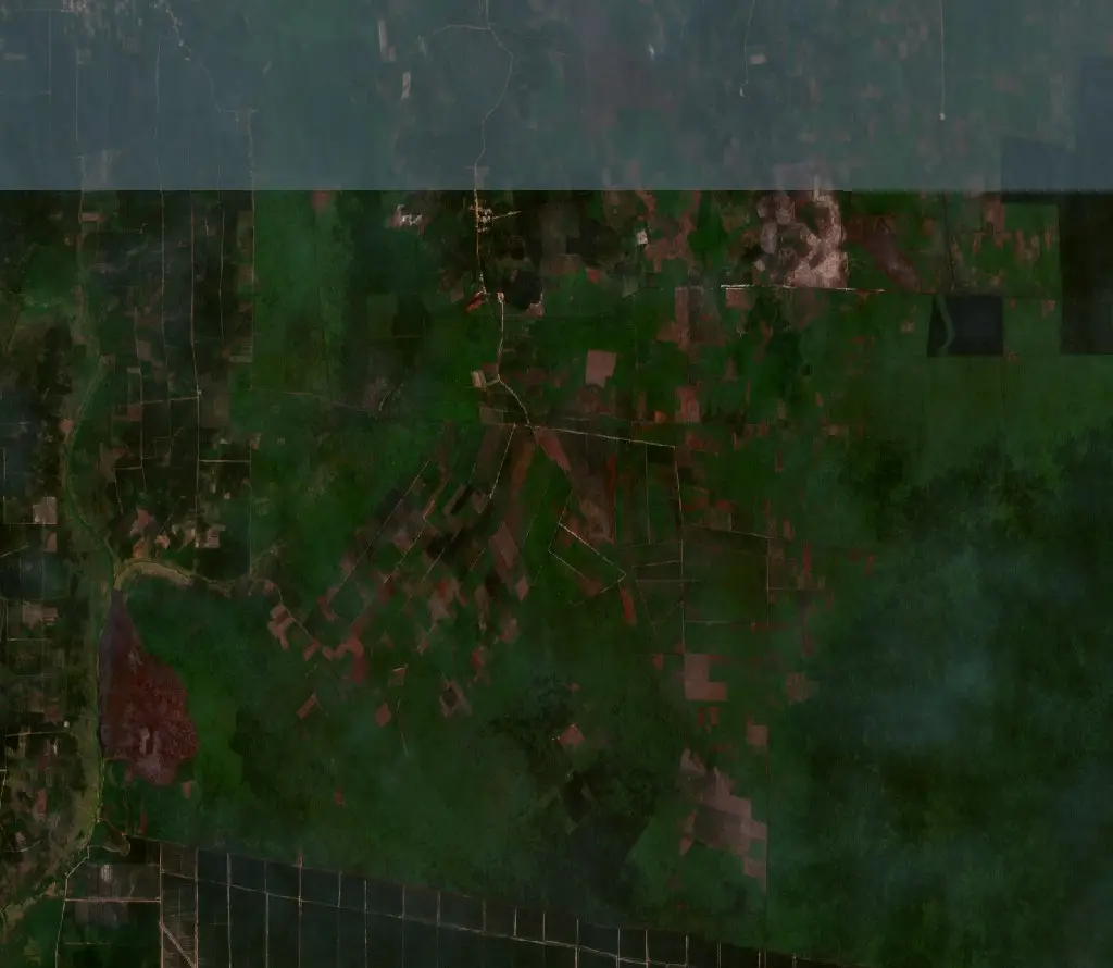 Before —  (Sentinel-2, 2026-09-08)