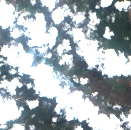 After — Kotawaringin Timur (Sentinel-2, 2026-09-11)