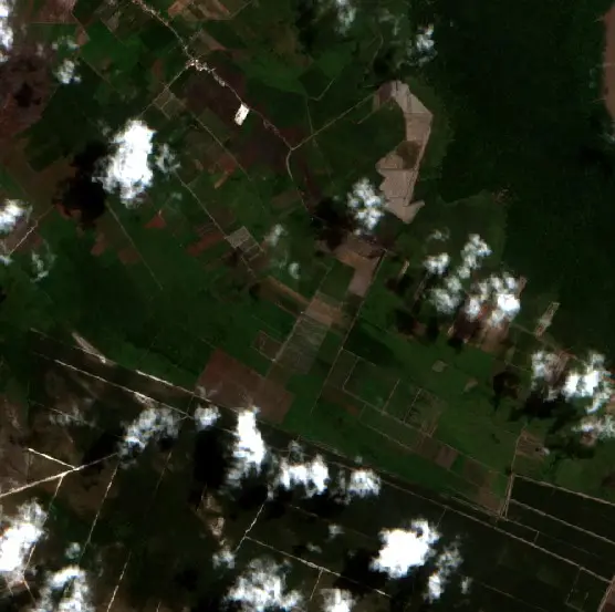 Before — Kotawaringin Timur (Sentinel-2, 2026-08-20)