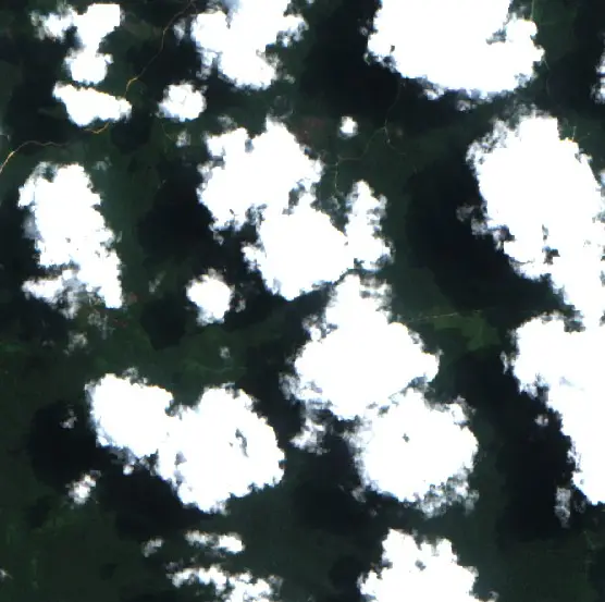 Before — Gunung Mas (Sentinel-2, 2026-08-10)