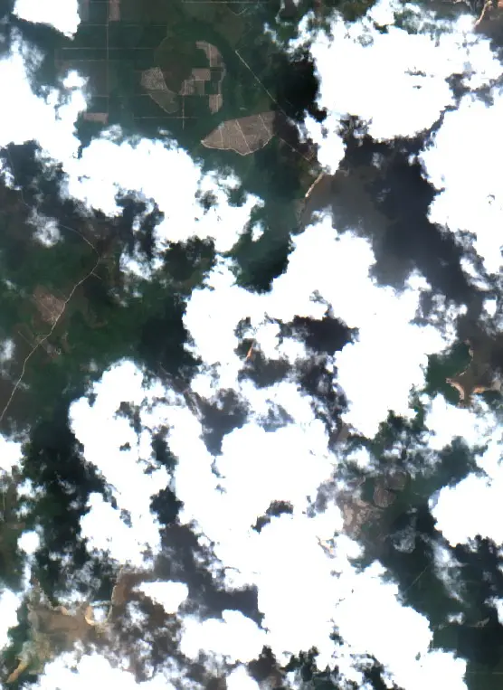Before —  (Sentinel-2, 2026-08-20)