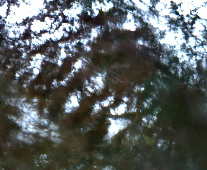 After —  (Sentinel-2, 2026-09-08)
