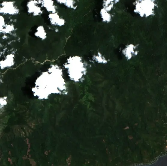 Before —  (Sentinel-2, 2026-10-01)