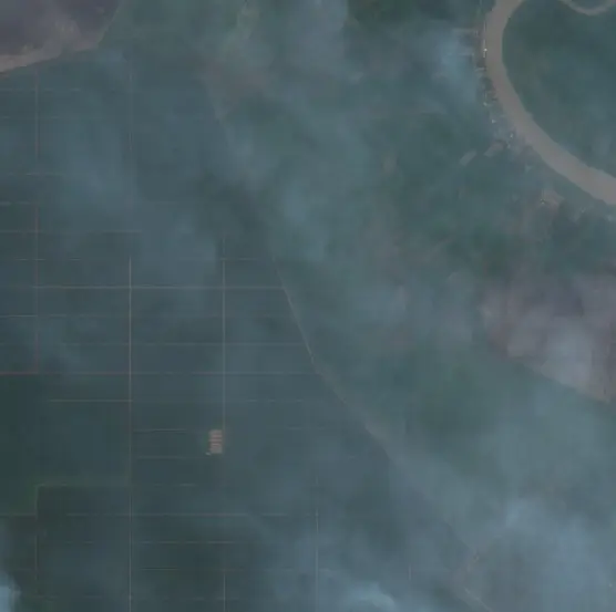 Before — Kotawaringin Timur (Sentinel-2, 2026-09-14)