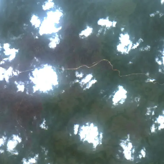 After —  (Sentinel-2, 2026-10-16)