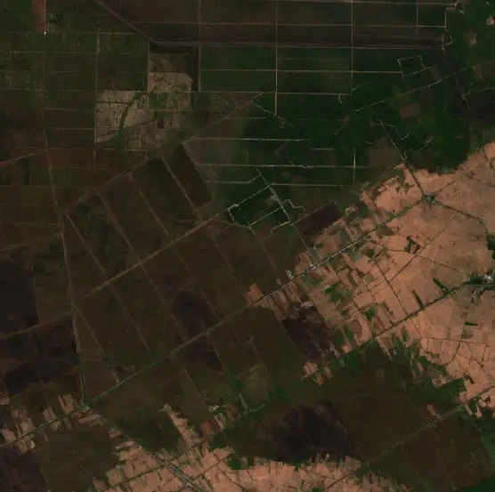 Before — Tapin (Sentinel-2, 2026-08-29)
