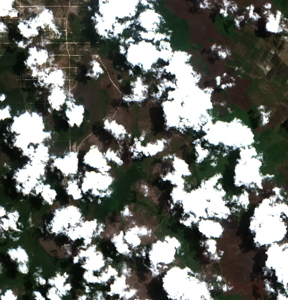 Before — Kotawaringin Timur (Sentinel-2, 2026-08-30)
