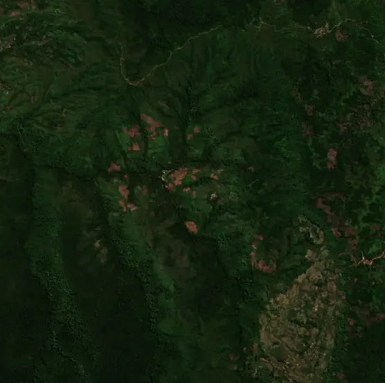 Before — Luwu Utara (Sentinel-2, 2026-08-11)