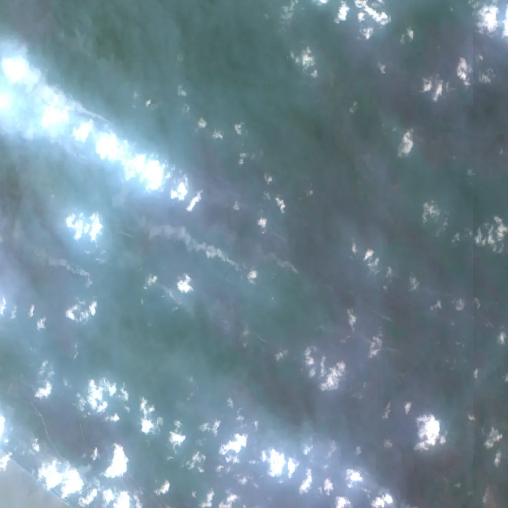 After —  (Sentinel-2, 2026-09-12)