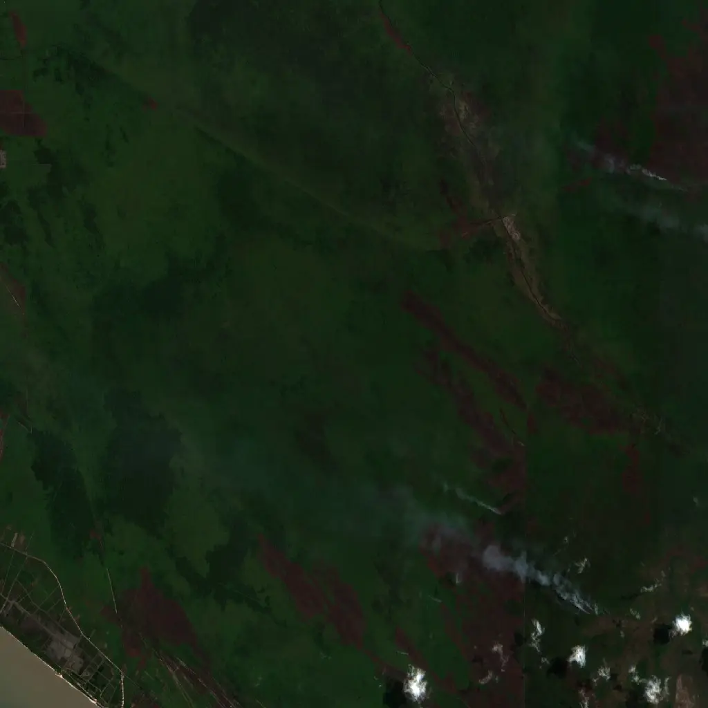 Before —  (Sentinel-2, 2026-08-18)