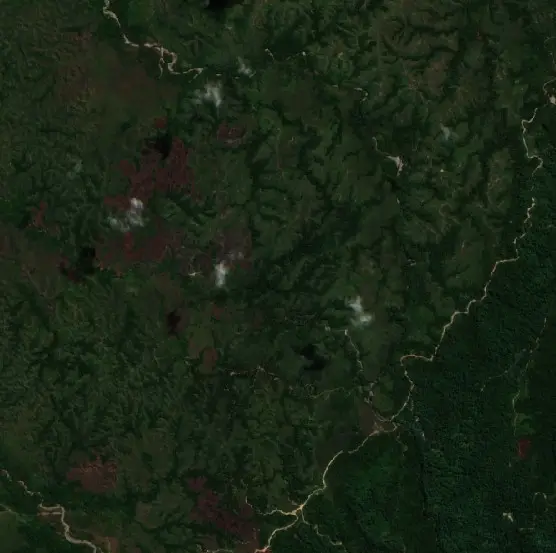 Before —  (Sentinel-2, 2026-08-07)