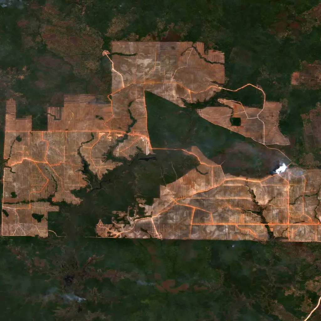 Before — Merauke (Sentinel-2, 2026-10-05)
