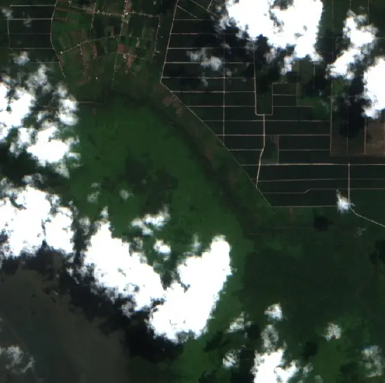 Before —  (Sentinel-2, 2026-08-25)