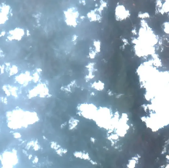 After — Bomberay (Sentinel-2, 2026-09-30)