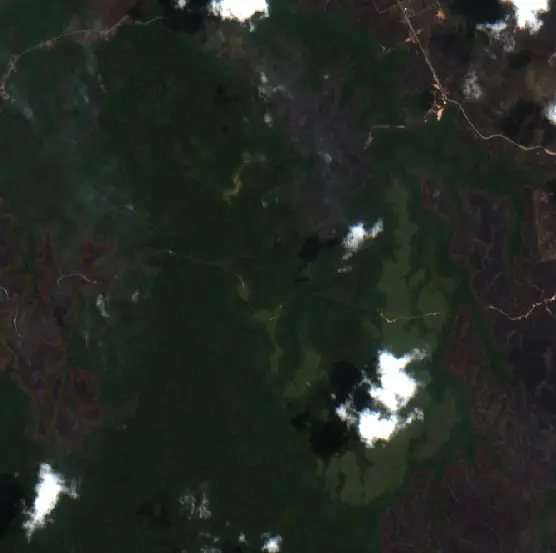 Before — Bomberay (Sentinel-2, 2026-09-10)