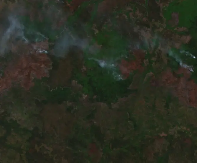 After — Merauke (Sentinel-2, 2026-10-11)