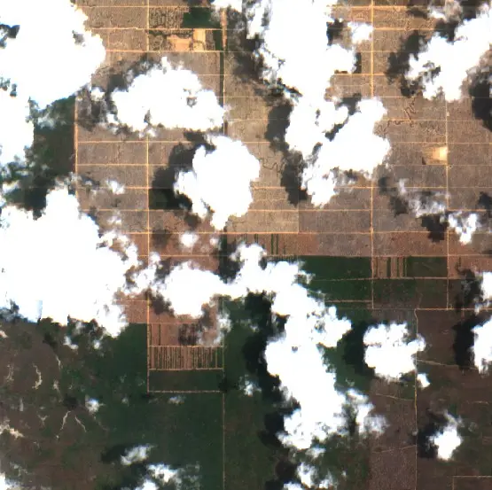 After —  (Sentinel-2, 2026-10-08)