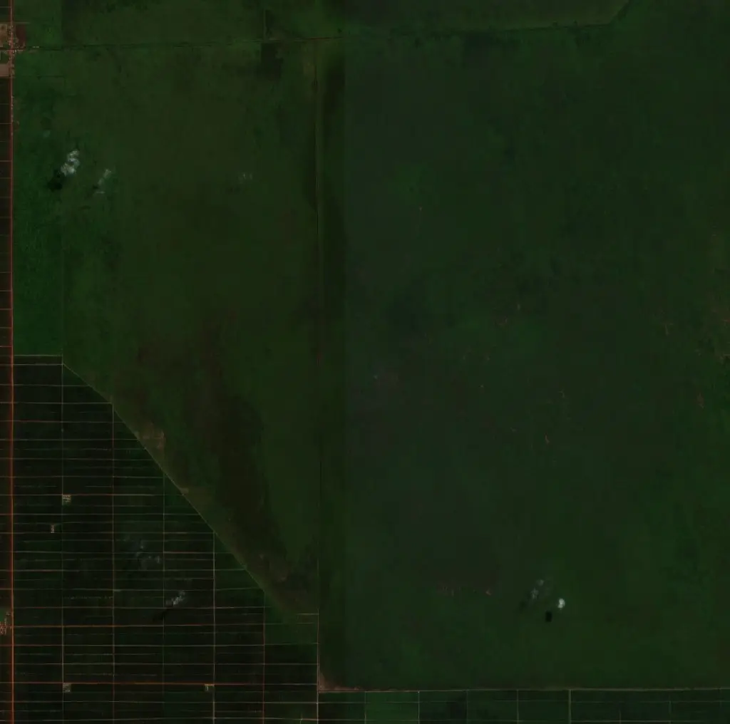 Before — Pulang Pisau (Sentinel-2, 2026-08-29)