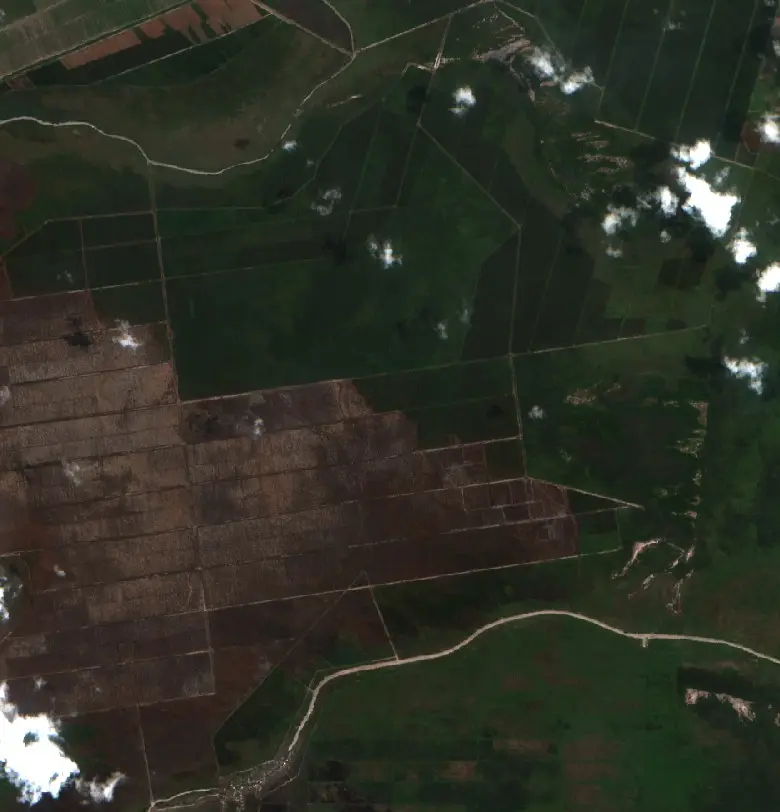 Before — Cengal (Sentinel-2, 2026-09-30)