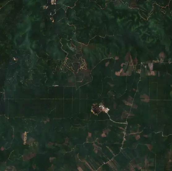 Before — Kutai Timur (Sentinel-2, 2026-08-29)