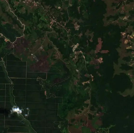 After — Poso (Sentinel-2, 2026-09-15)