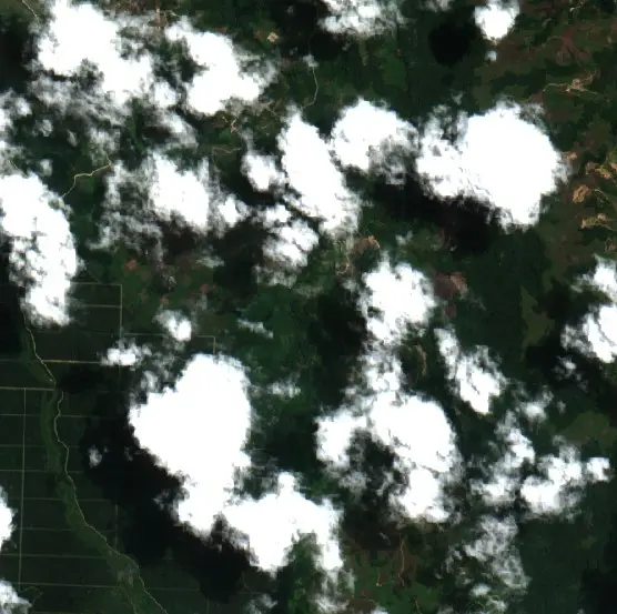 Before — Poso (Sentinel-2, 2026-08-11)