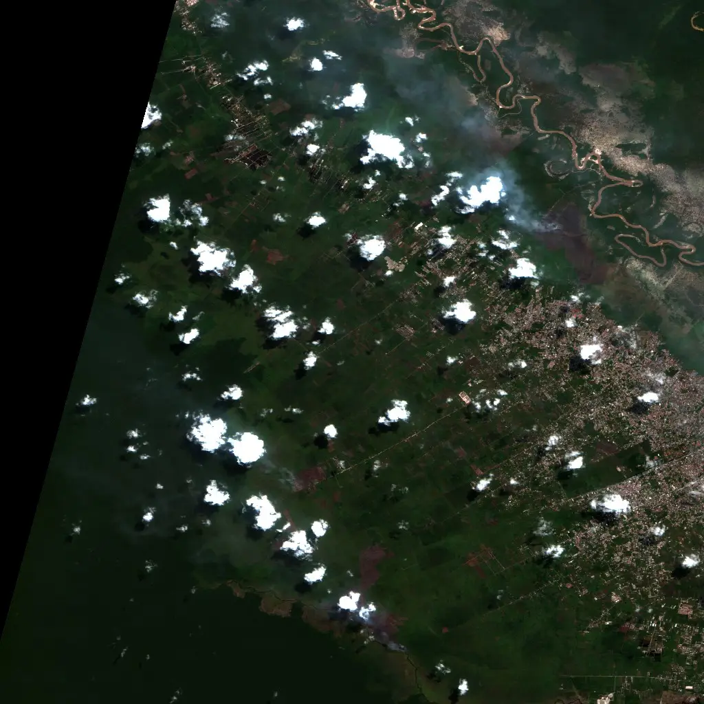 Before —  (Sentinel-2, 2026-08-12)