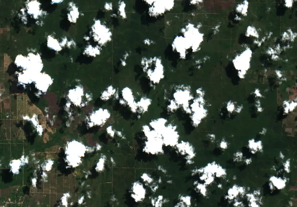Before — Kotabaru (Sentinel-2, 2026-08-29)