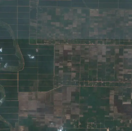 After — Sembawa (Sentinel-2, 2026-09-08)