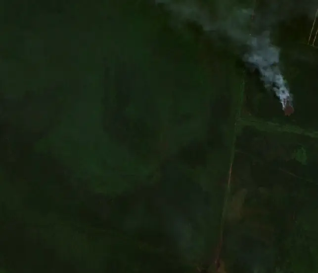 Before — Pulang Pisau (Sentinel-2, 2026-08-29)