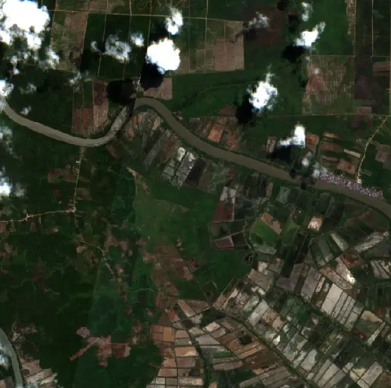 Before — Kotabaru (Sentinel-2, 2026-08-29)